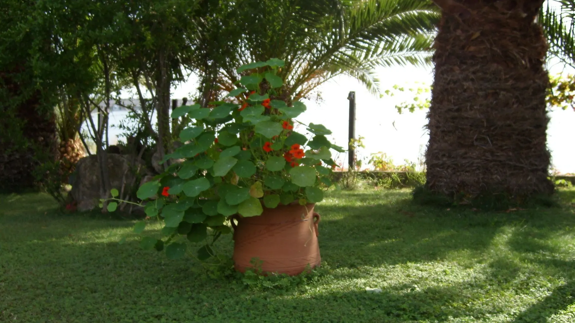 Apartment Pension Karvounoskala Stratonion